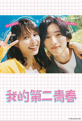 南阳企业seo网站优化哪家好